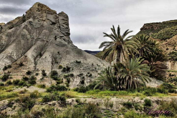 Alojamiento Las Dunas Alto Tabernas Dış mekan fotoğraf