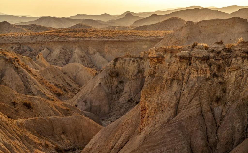 Alojamiento Las Dunas Alto Tabernas Oda fotoğraf